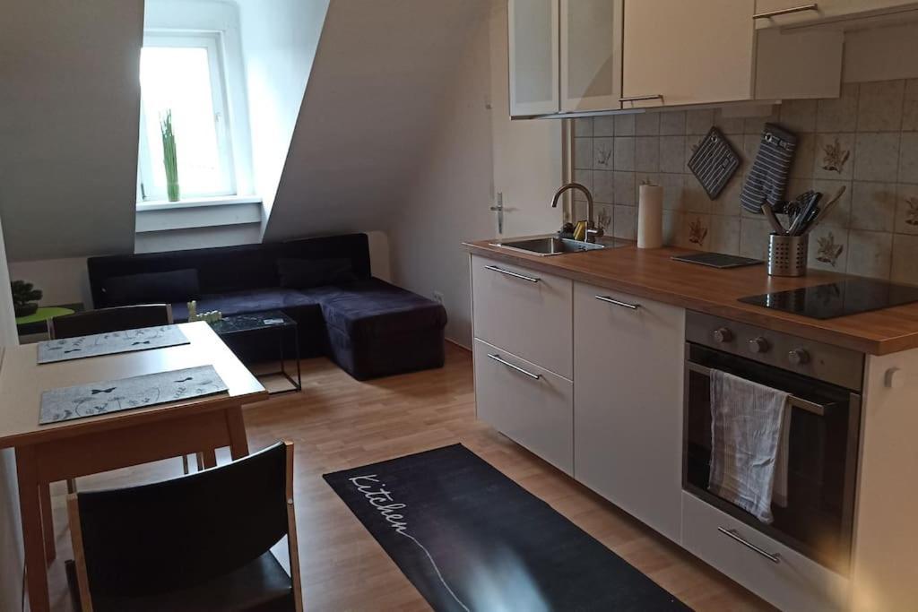 Retrowohnung Im Herzen Von 格拉茨 外观 照片